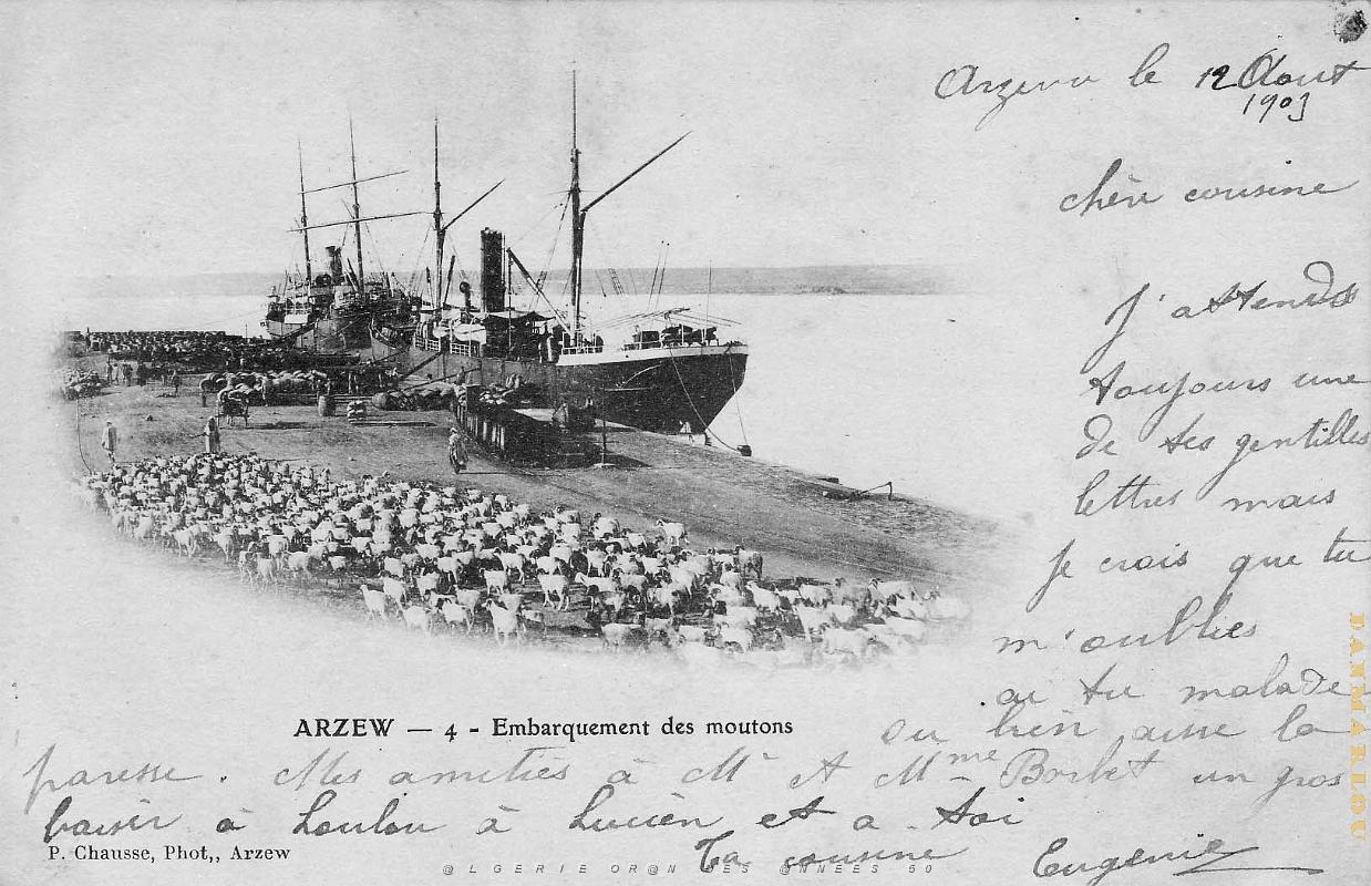 ARZEW embarquement des moutons 1909.jpg